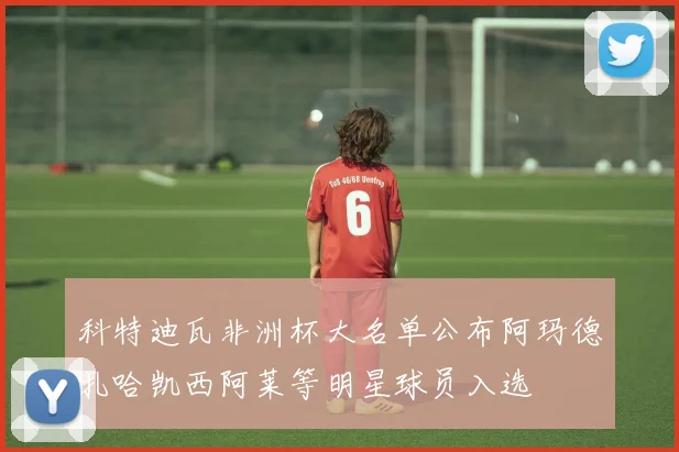 科特迪瓦非洲杯大名单公布阿玛德扎哈凯西阿莱等明星球员入选