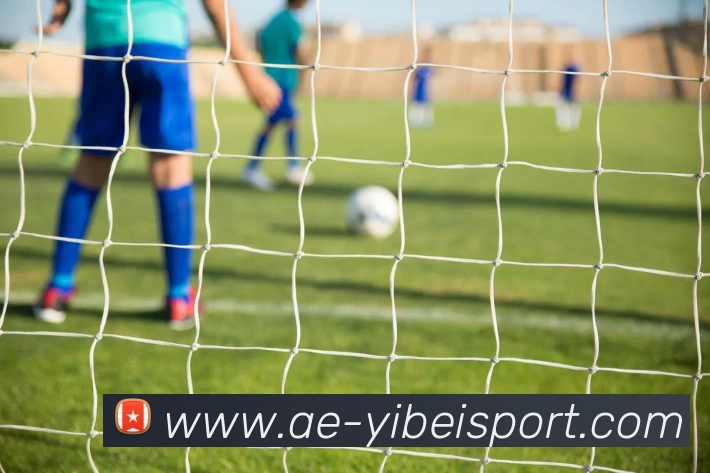 易倍体育APP 高清赛事图